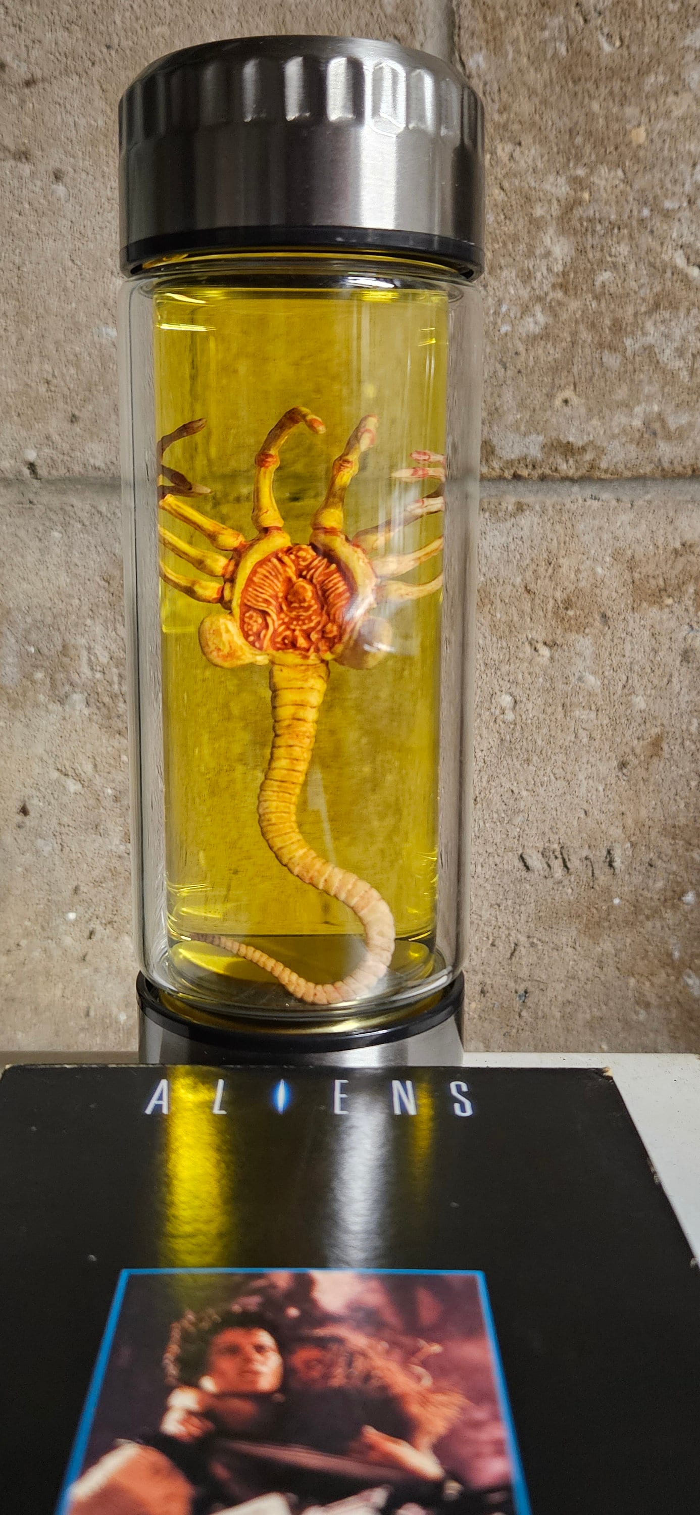 エイリアンジャー ゼノモーフ標本 フェイスハガー 胚 ガラスジャー