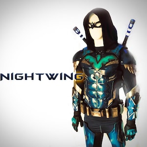 Modello in schiuma classico di Nightwing