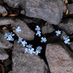 Baby Blue Flower Hair Pins: Bridal Headpiece, Set of 10