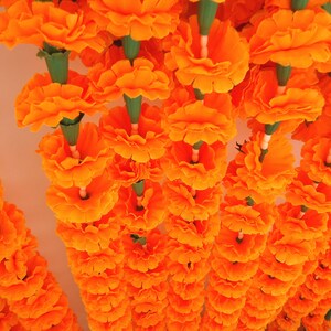 Puede incluir: Primer plano de m&uacute;ltiples hileras de guirnaldas de cal&eacute;ndulas de color naranja brillante. Cada flor est&aacute; densamente empaquetada, con tallos verdes y detalles blancos. Las guirnaldas cuelgan desde arriba, creando una exhibici&oacute;n vibrante y festiva.