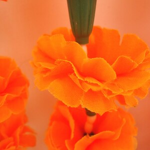 Puede incluir: Primer plano de guirnaldas de cal&eacute;ndulas de color naranja vibrante, con un tallo verde. Las flores est&aacute;n en capas, creando una apariencia texturizada. El fondo es de color naranja suave, realzando los colores brillantes de las flores.