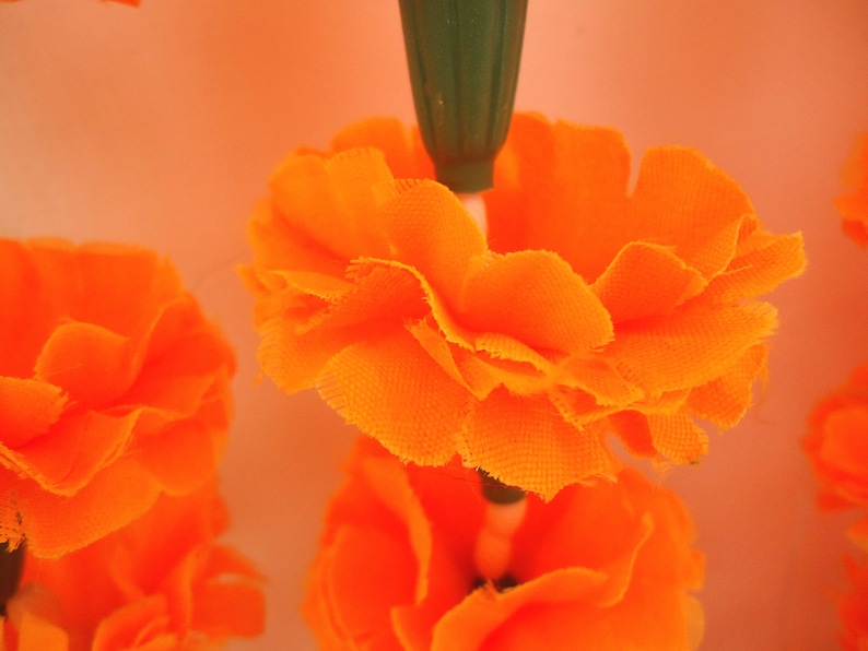 Puede incluir: Primer plano de guirnaldas de cal&eacute;ndulas de color naranja vibrante, con un tallo verde. Las flores est&aacute;n en capas, creando una apariencia texturizada. El fondo es de color naranja suave, realzando los colores brillantes de las flores.