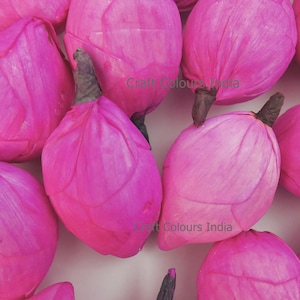 60 st gratis expresverzending Shola-hout lotusknoppen, kunstmatige lotusknoppen, echt ogende lichtgewicht lotusknoppen voor diwalidecoratie