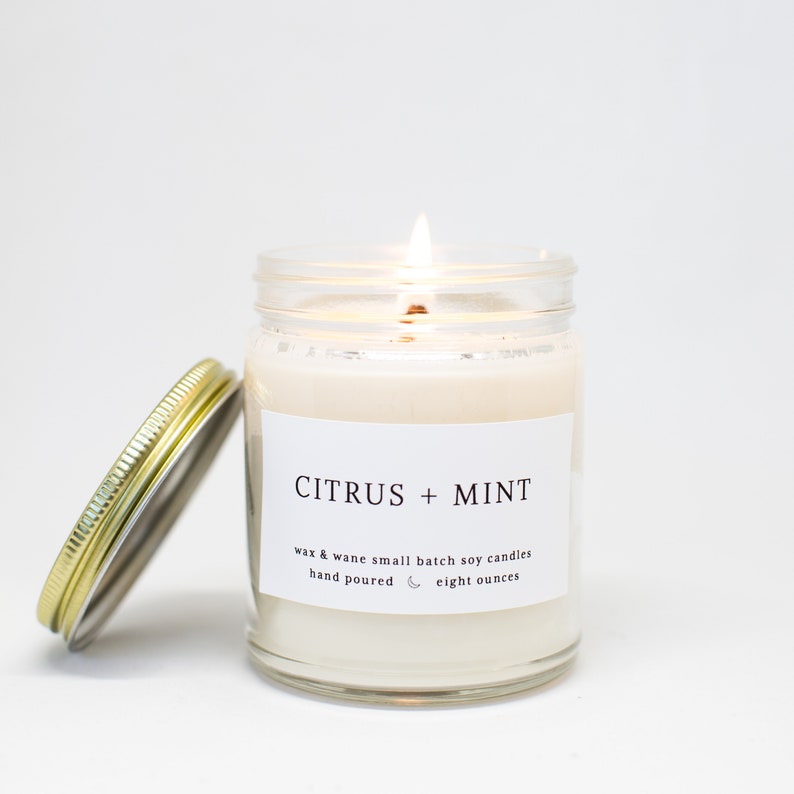 Citrus Mint Modern Soy Candle Grapefruit Orange Candle Floral Summer Citrus Soy Scented Candle Ready to ship Natural Vegan Candles image 3