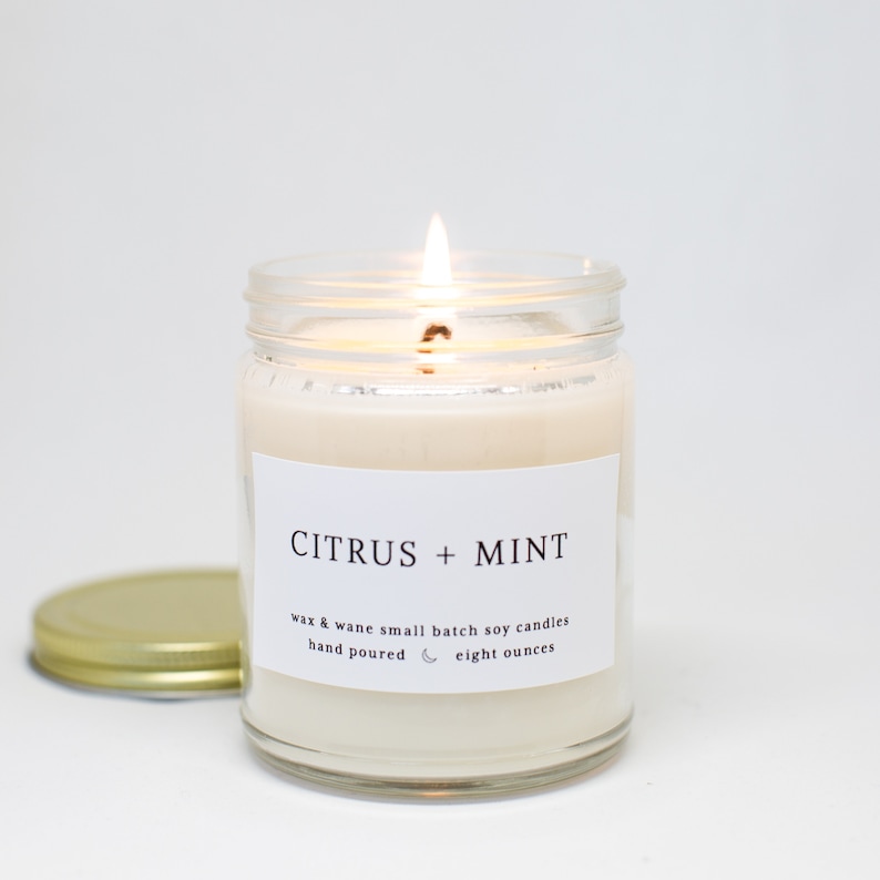 Citrus Mint Modern Soy Candle Grapefruit Orange Candle Floral Summer Citrus Soy Scented Candle Ready to ship Natural Vegan Candles image 1