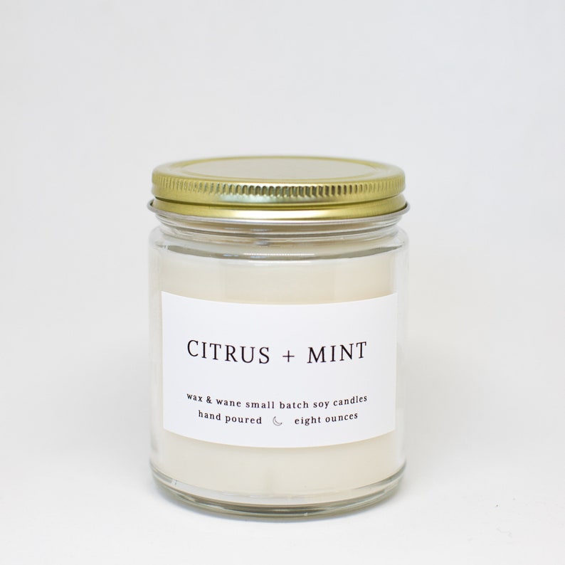 Citrus Mint Modern Soy Candle Grapefruit Orange Candle Floral Summer Citrus Soy Scented Candle Ready to ship Natural Vegan Candles image 4
