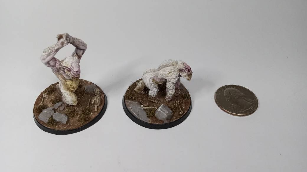 Imperial Officers Painted Miniatures Skyrim the Elder Scrolls: Call to Arms  RPG D&D Painting Commission Decor 