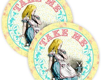 Alice in Wonderland Party Favor Stickers - 40 Favor Bag Stickers - Alice in Wonderland Thank You Tag - Alice in Wonderland Party Supplies