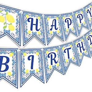 Capri Lemon Happy Birthday Banner - 40th 50th 60th Birthday Party Supplies - Lemon Birthday Party Decorations - Lemon Birthday Party Banner