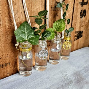 Plant Propagation Station, Set of 4 Mini Plant Glass Bottles, Small Bud Vase, Window Hanging Plant Propagation, Moon - Tree Charms