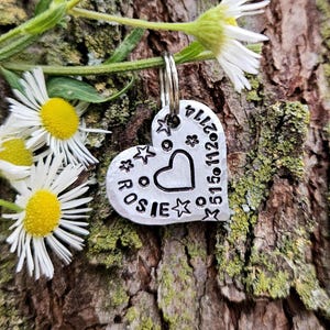 PETITE étiquette d'identification de chat, petite étiquette d'identification de chien, étiquette d'identification de coeur argentée, étiquette d'identification de chat mignon, étiquette d'identification d'animal de compagnie personnalisée, étoiles personnalisées de coeurs d'étiquette d'identification