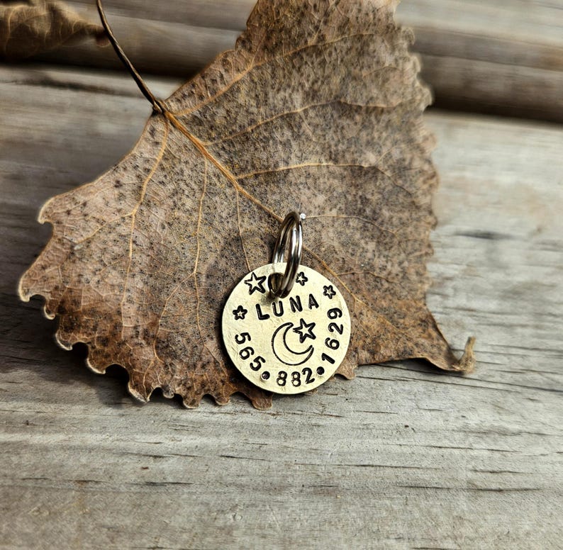 May include: A round brass pet identification tag featuring the stamped name LUNA, a crescent moon and star design, and the phone number 565-882-1629. The tag includes a silver-coloured metal jump ring attached to the top for secure collar attachment.