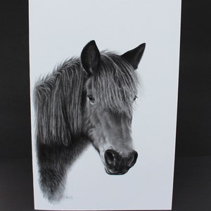 Poney New Forest noir & blanc carte
