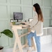 see more listings in the Standing Desk section