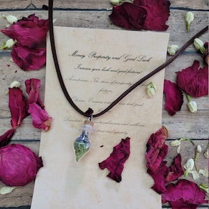 Money Prosperity and Good Luck Spell Bottle Necklace Prosperity Spell Bottle Necklace Good Luck Necklace Gifts for Her
