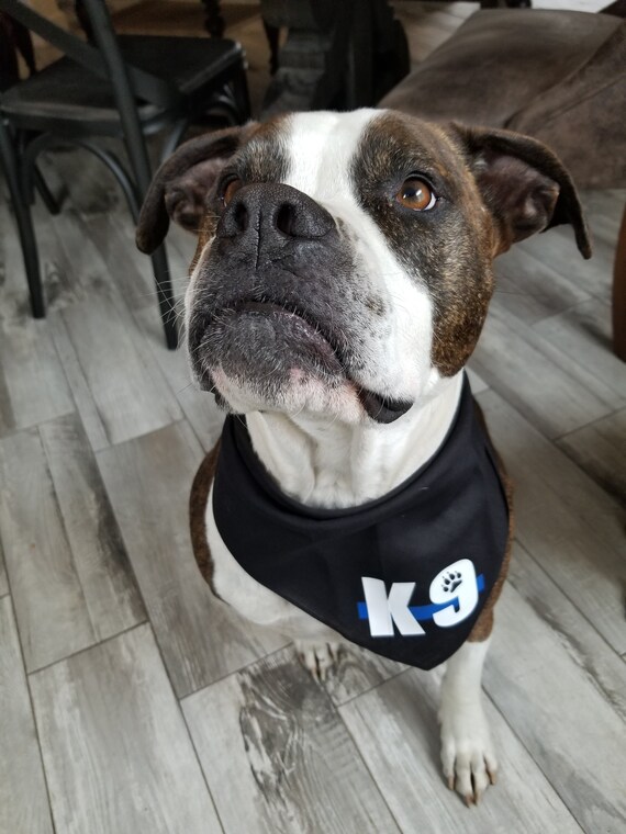 frontline plus pills