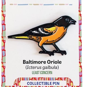 Puede incluir: Un pin coleccionable con un Baltimore Oriole, un pájaro con colores negro, naranja y amarillo. El pin está en una tarjeta con el texto "Smithsonian Folklife Festival" y "Collectible Pin". La tarjeta también presenta el texto "Peppermint Narwhal".