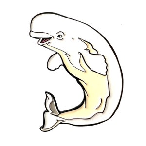 May include: A white beluga whale with a black outline, jumping out of the water with its mouth open in a smile. The whale is facing the right side of the image.