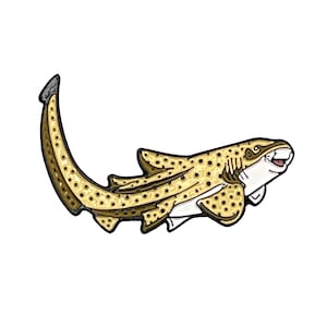 Zebra Shark pin (Chondrichthyes Series)