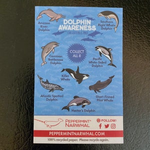 Hector's Dolphin Pin Dolphin Awareness Series image 3