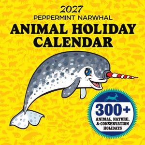 Puede incluir: Un calendario 2027 Peppermint Narwhal con fondo amarillo brillante y un patrón de animales repetido. Un narval de dibujos animados con un colmillo a rayas rojas y blancas está centrado, con una insignia azul que indica 300+ días festivos.