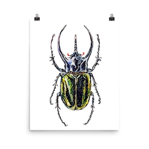 BEETLE - Fine Art Print