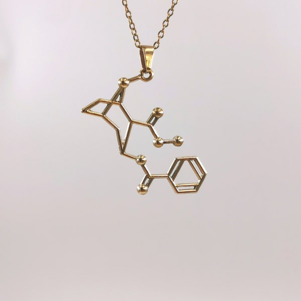 Golden Cocaine Molecule Necklace, Molecular Structure Necklace