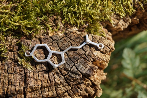 Small DMT Necklace, MOLECULAR STRUCTURE ,  925 silver/brass