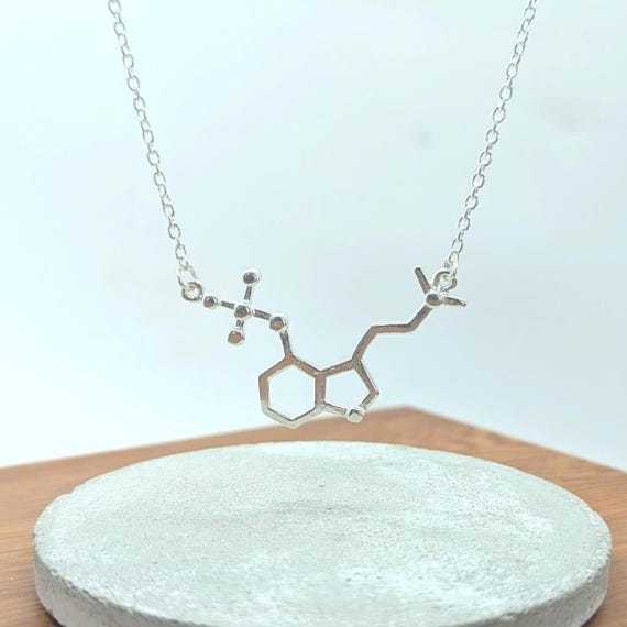 Psilocybin Molecule Necklace 925 Silver, Molecular Structure Pendant, Science Jewelry Gift