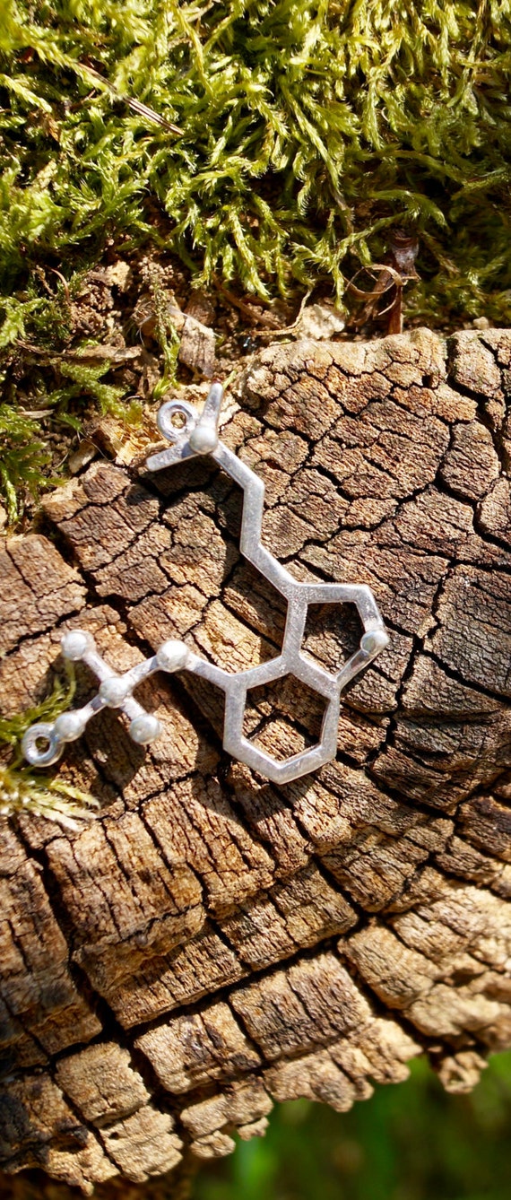 Psilocybin Molecule Necklace 925 Silver/Brass