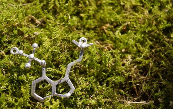 Psilocybin Necklace, Psilocybin Molecule, Mushroom Necklace 925 Silver/Nickel-Free Brass