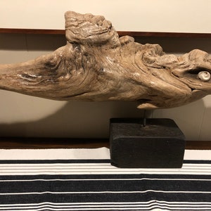 May include: A driftwood sculpture of a dolphin with a white shell for an eye, mounted on a black wooden base.