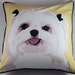 Maltese Pillow