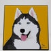 Siberian Husky Laminated Picture