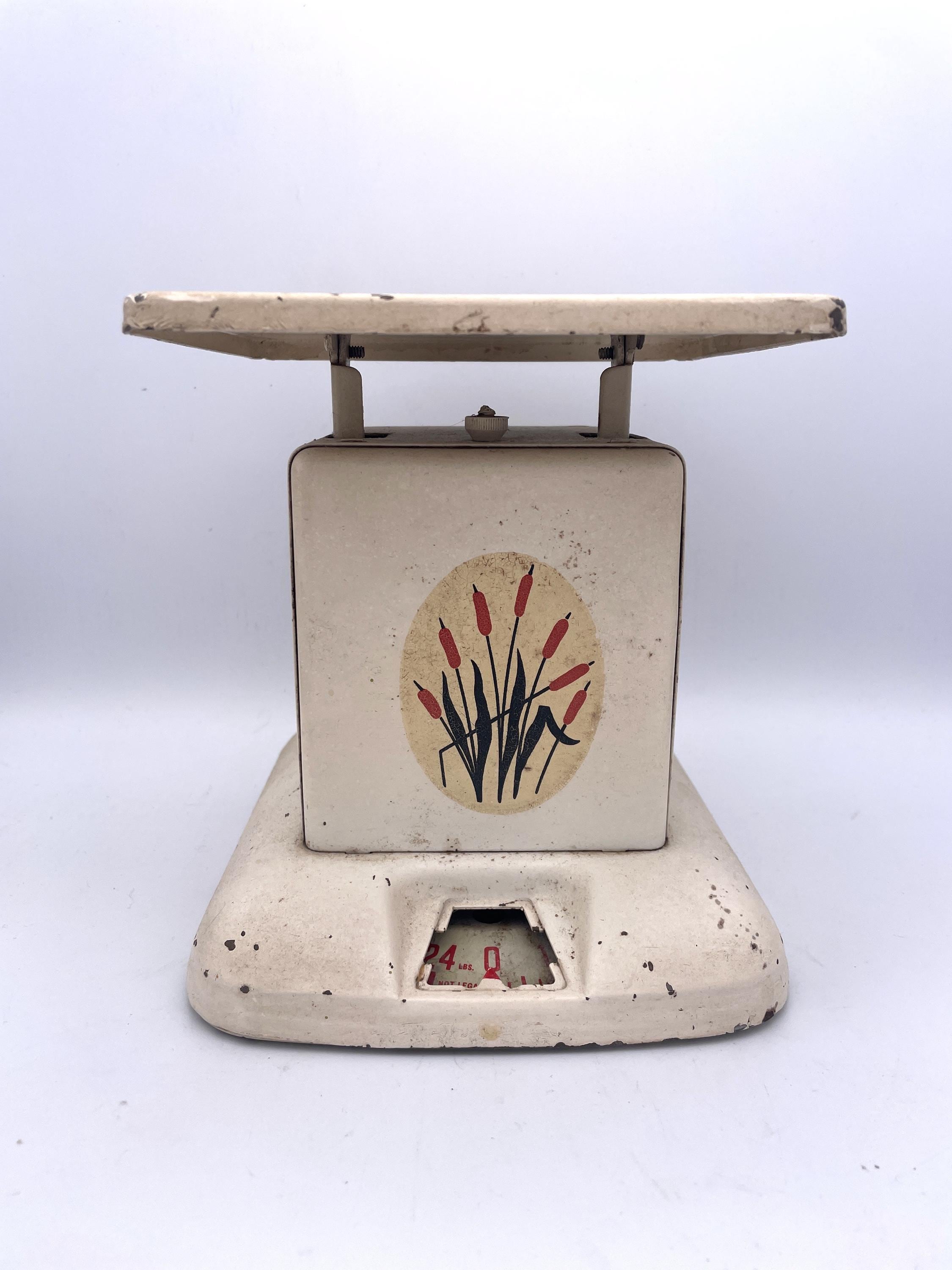 Vintage Maid of Honor Kitchen Scale With Red Cattails 1930s-1940s