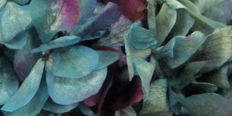 Peineta de hortensia azul verdosa imagen 4