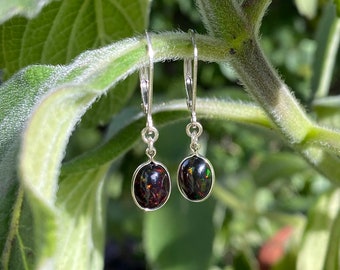 genuine black opal earrings