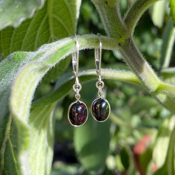 Genuine black on sale opal earrings