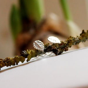 Puede incluir: Un par de pendientes de plata con forma de hoja. Los pendientes son pequeños y delicados, y son perfectos para añadir un toque de naturaleza a cualquier atuendo.