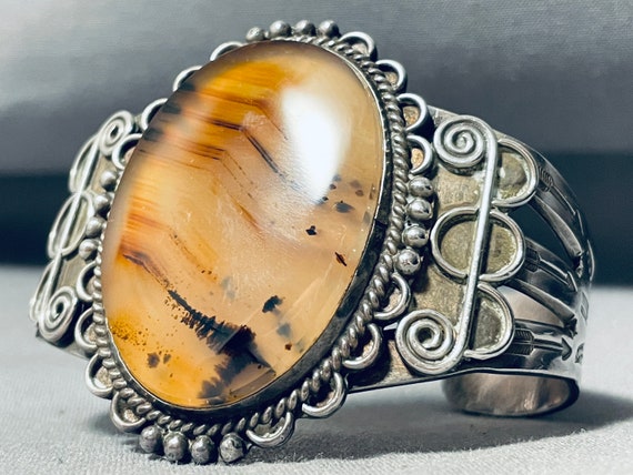 Rare Translucent Petrified Wood Vintage Native Am… - image 4