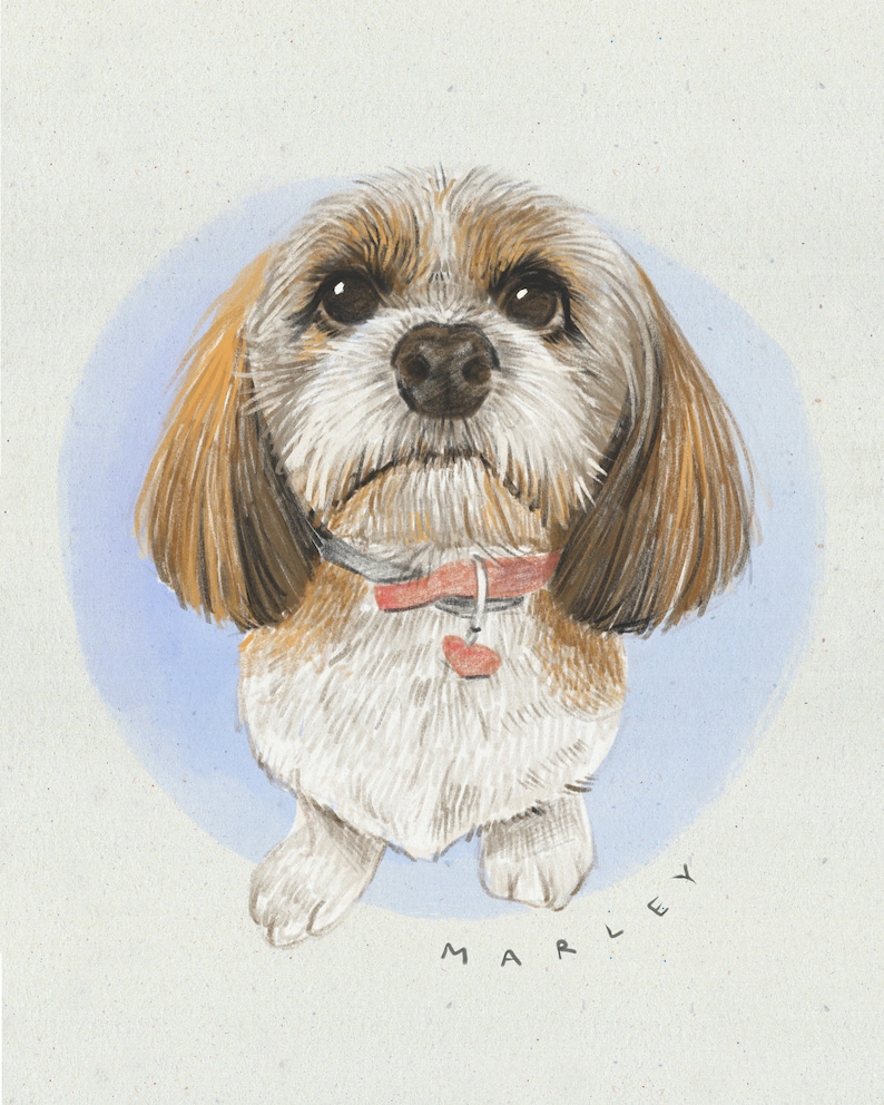 DIGITAL Custom Pet Portrait Illustration in Colored Pencil Style
