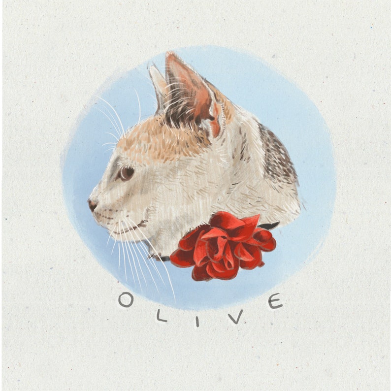 DIGITAL Custom Pet Portrait Illustration in Colored Pencil Style