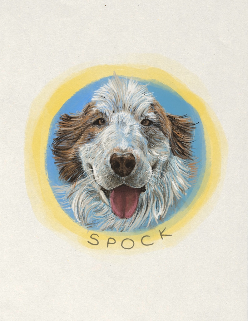 DIGITAL Custom Pet Portrait Illustration in Colored Pencil Style