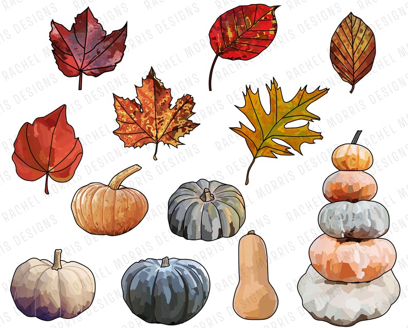 Fall Leaves and Pumpkins Clip Art | 12 PNG FILES - Etsy