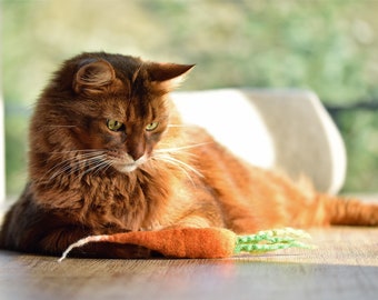 Katzenspielzeug HADDU MÖHREN