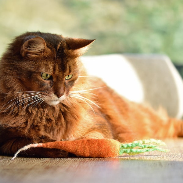 Katzenspielzeug HADDU MÖHREN