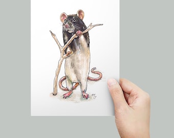 Black Hooded Fancy Rat Portrait A5 Imprimer