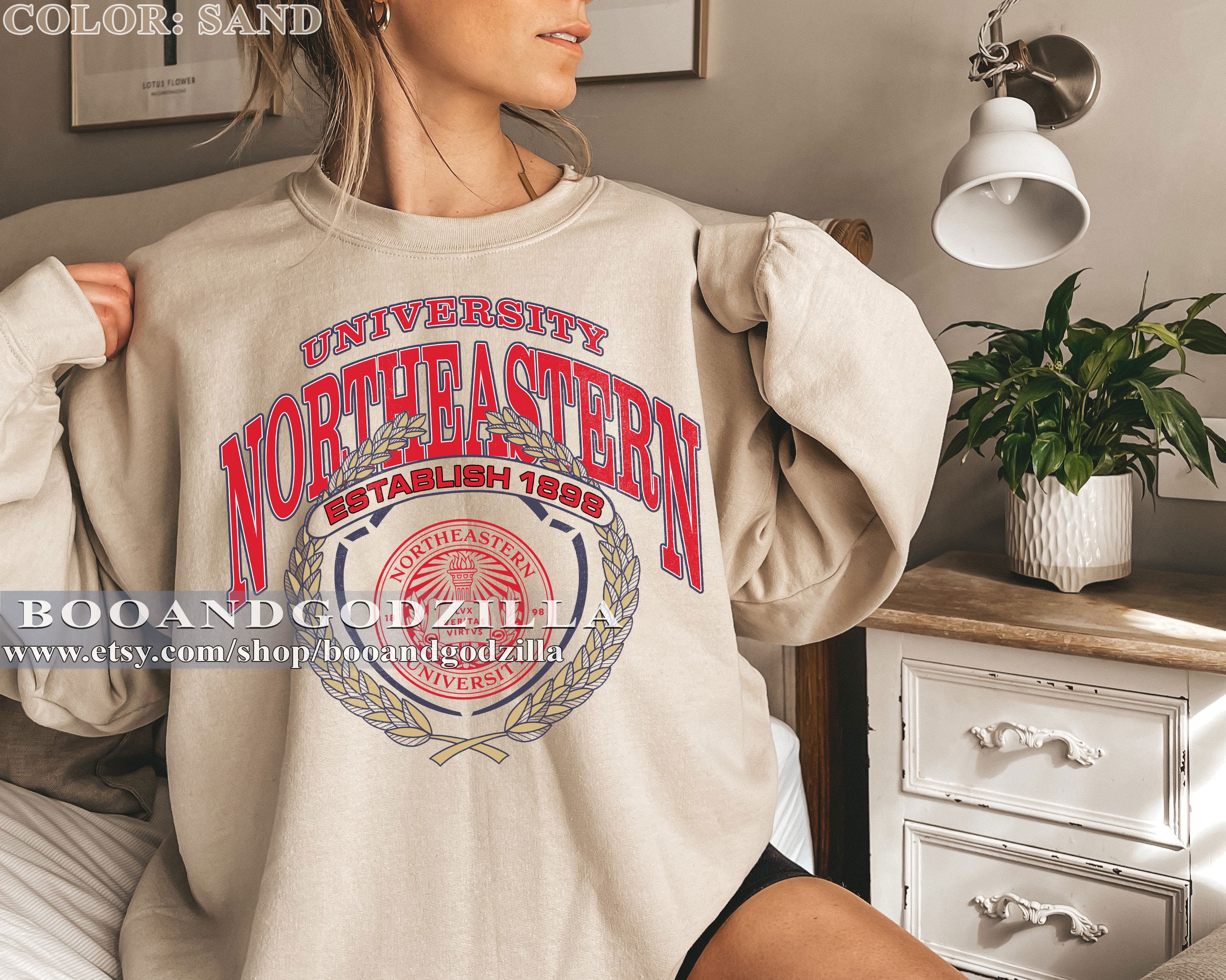 Northeastern university sweatshirt hotsell