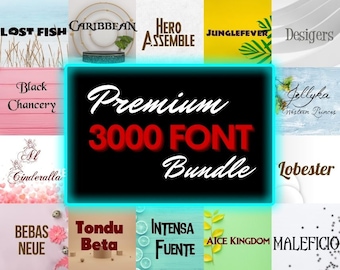 Canva Font, Illustrator Font, Photoshop Font, Cursive Font, Procreate Font, Handwritten Font, Calligraphy Font, Signature Font, Fonts Bundle
