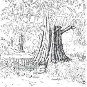 Puede incluir: Un dibujo en blanco y negro de un banco debajo de un gran árbol con una maceta en la base del árbol. El dibujo está firmado "Samuel Prawn 2023".